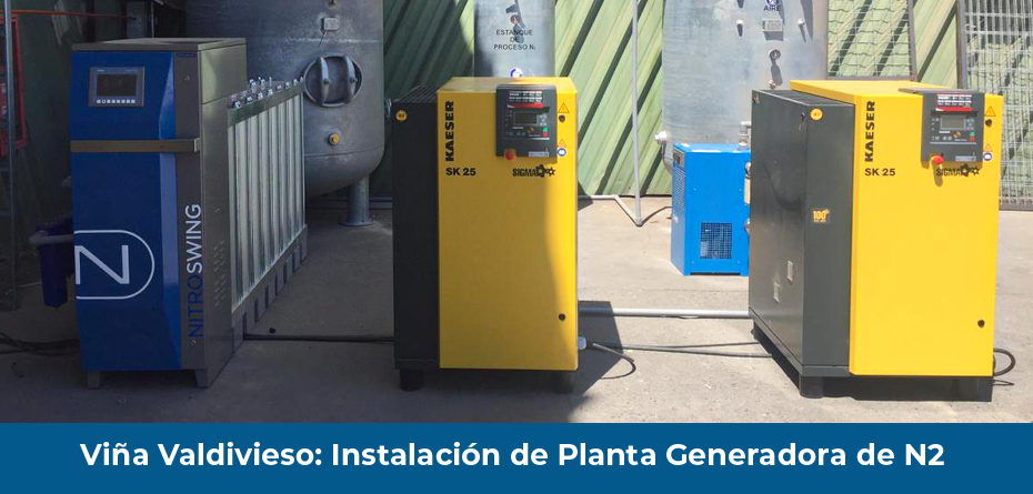 Viña Valdivieso: Instalación de Planta Generadora de Nitrógeno